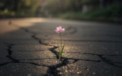 Traumdiebe – und wie Du ihnen entkommst